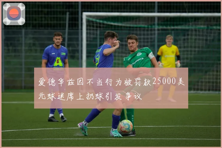 爱德华兹因不当行为被罚款25000美元球迷席上扔球引发争议